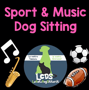 Sport & Music Dog Sitting