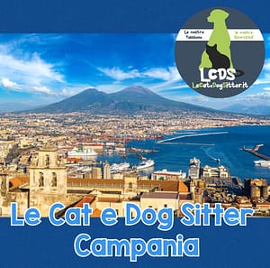 Le Cat e Dog Sitter arrivano in Campania