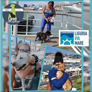 Nuova collaborazione Le Cat e Dog Sitter e Consorzio Liguria Via Mare