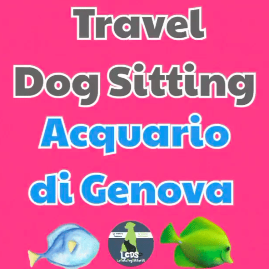 Dog Sitter all’Acquario di Genova